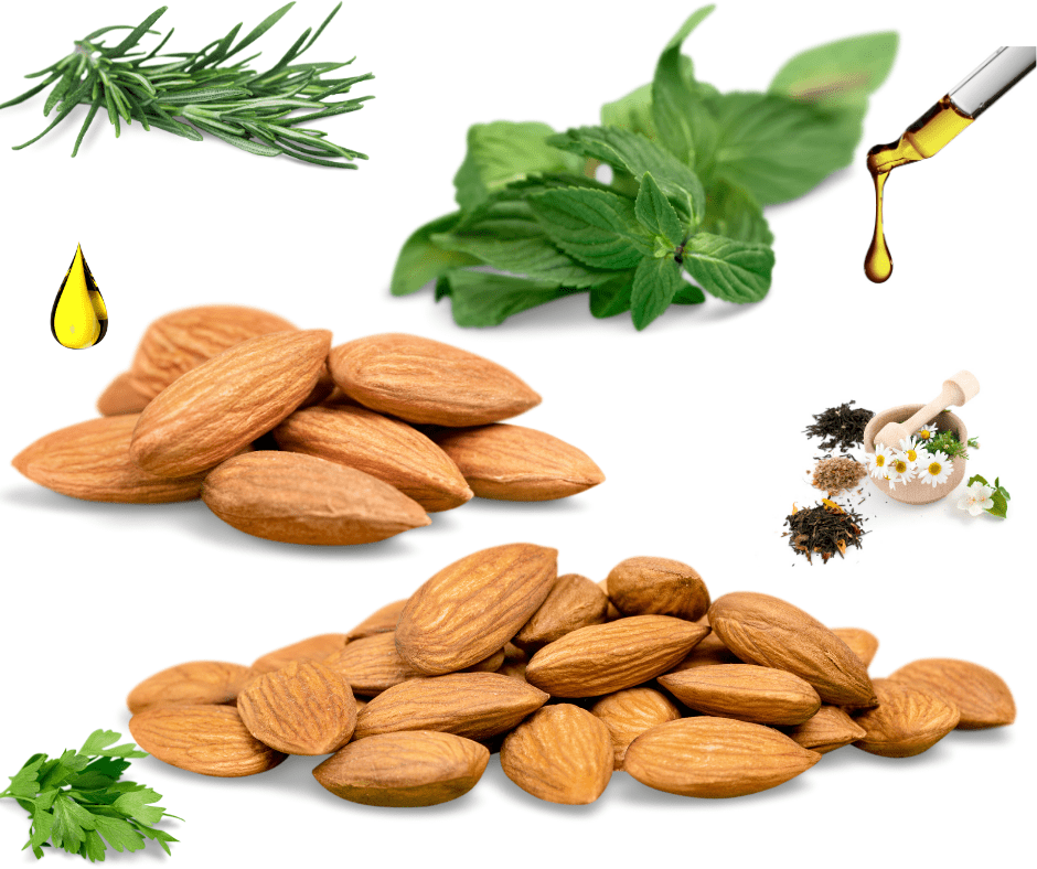 Bio - Süßmandelöl - OTJ Naturals