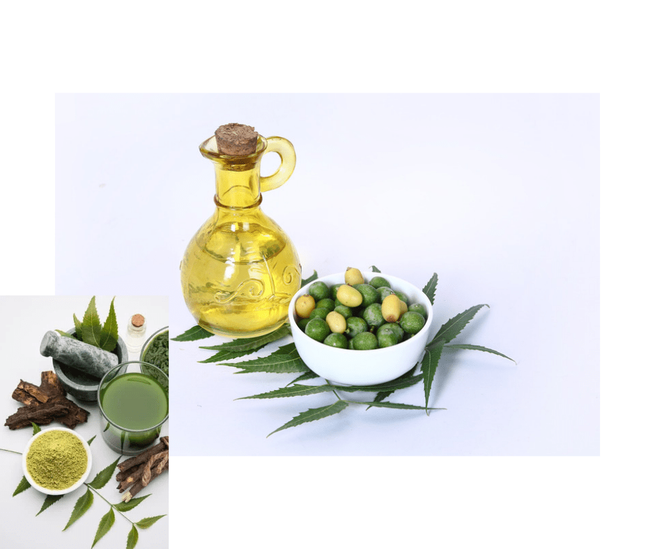 Neem Bio - OTJ Naturals